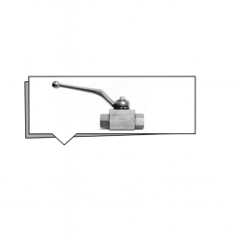 Valvola a sfera INOX FF G 1/4" BSP