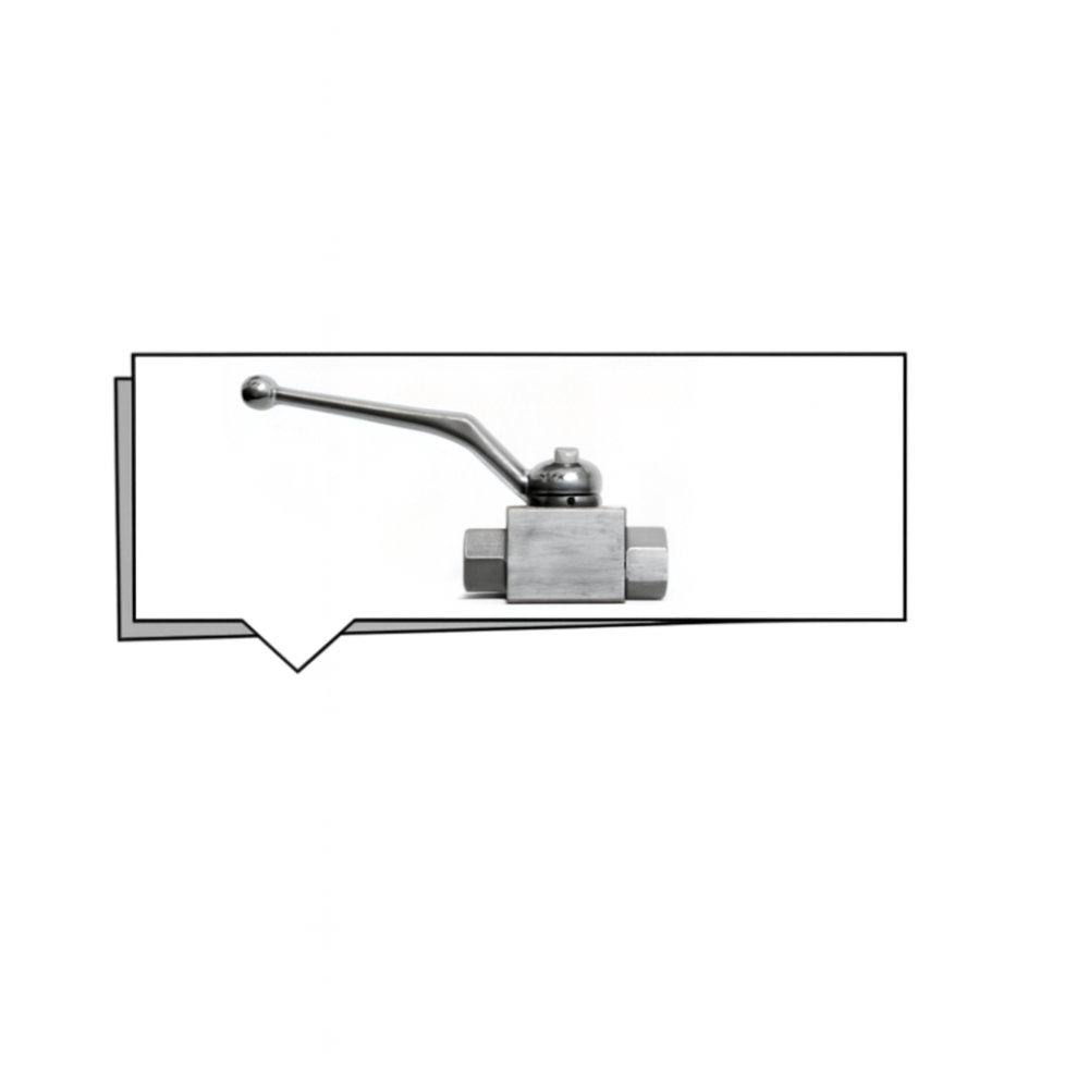 Valvola a sfera INOX FF G 1/4" BSP